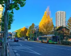 あき様 リクエスト 3点 まとめ商品