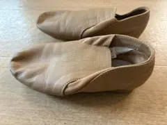 Item thumbnail for item 8bf63ed4-341c-4650-aae4-d96694f9438c