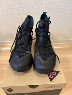 NIKE ACG AIR TERRA ANTARKTIK GORE-TEX黒27のサムネイル