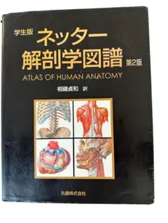 Item thumbnail for item 73896f5e-a841-42b2-8bf8-e64a3c472153