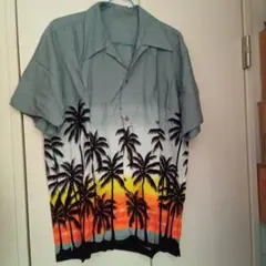 Item thumbnail for item b9824f67-97ac-416b-995a-554aa6f53bdf