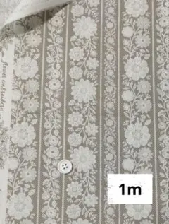 ボーダーレース柄プリント　ベージュ　ブロード生地　1m