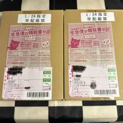 初版 ポケセン産 バトルパートナーズ BOX シュリンク付き ナンジャモプロモ