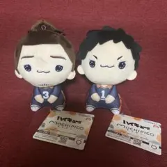 ハイキュー!! もちぴこ 澤村大地・東峰旭