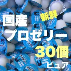 昆虫ゼリー プロゼリー50 クワガタ・カブトムシ・ハムスター・モモンガ