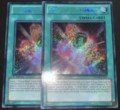 遊戯王 八汰烏の骸 英語版 シークレットレア PP01-EN009 - メルカリ