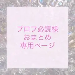 【専用ページ】プロフ必読様 シールおすそ分け