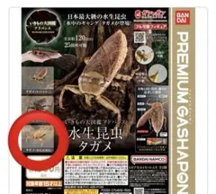 オンライン版　いきもの大図鑑アドバンス　水生昆虫　タガメ　昆虫　生き物　ガチャ