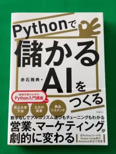 python IT
