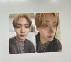 サンウォン ALD1トレカ2枚セット