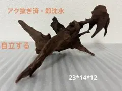 Lucky様 リクエスト 2点 まとめ商品