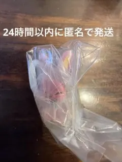 StrayKids スキズ めじるしアクセサリー ガチャ　チャンビン　トエッキ