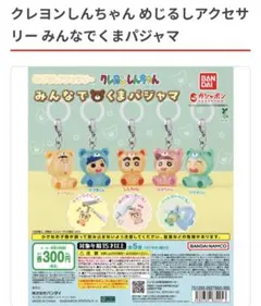 クレヨンしんちゃん　めじるしアクセサリー