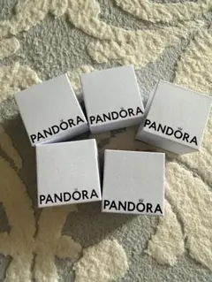 PANDORA ブレスレット用ボックス 5個セットのサムネイル