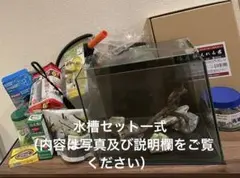 （今ならおまけ付き）GEX 30cm ガラス水槽 レイアウト&お世話セット付き