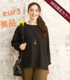 【美品✨️】 eur3 WEB限定カラー シャーリングジャージープルオーバー