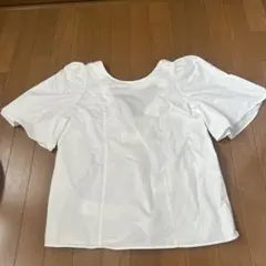 Item thumbnail for item 715f795e-1c95-4c3f-8fac-04c92bb94147