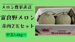 農家直送・家庭用】富良野メロン 2玉(赤肉セット、 1玉2.0kg以上の大玉