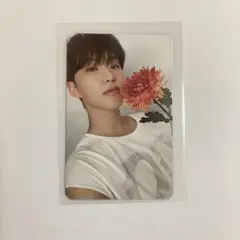 17 is right here dear盤 トレカ ホシ