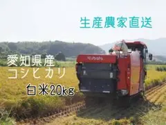 愛知県産 コシヒカリ 白米 20kg 生産農家直送のサムネイル