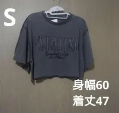 ショート丈半袖Tシャツ グレー ゆったり S