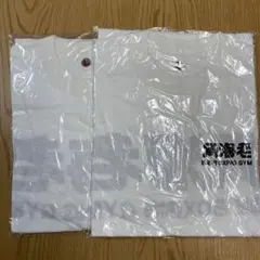 Item thumbnail for item 3fac4e35-f1c8-4a74-8b4b-70e23206eec7