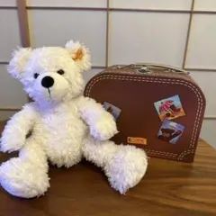 Item thumbnail for item 8dc46742-34dc-491a-a3ea-04504d37fb7f