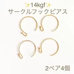 新商品　14kgf ボールエンドサークルフック　ピアスフック　2ペア　4個
