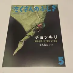 たくさんのふしぎ 2024年5月号