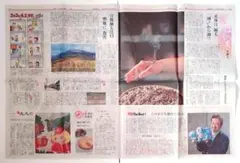 Item thumbnail for item 29b083cf-8dca-47de-a01b-81b1e8615e54