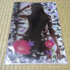 2026年最新】安室奈美恵 クリアファイルの人気アイテム - メルカリ