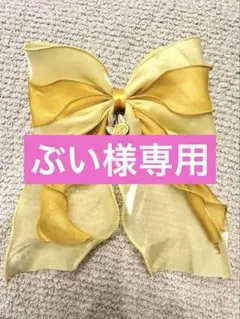 ぶい様専用ページ