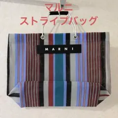 マルニ☆ストライプバッグのサムネイル
