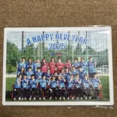 ニッパツ横浜FCシーガルズ　パズル　2025