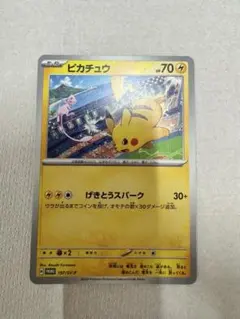ピカチュウ ジムプロモカードパック 第1弾 PROMO S-Pプロモカード