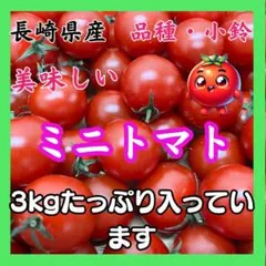 長崎県産 ミニトマト 小鈴 3kg