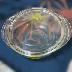 Item thumbnail for item 39ee28a4-1aee-4ed7-a80b-1c999dd64d2a