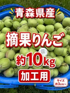 青森県産 摘果りんご 約10kg 加工用のサムネイル