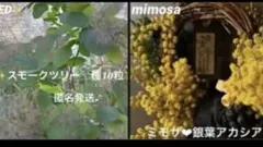 アンドウユキコ様 リクエスト 3点 まとめ商品