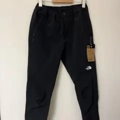 [リー専用]ノースフェイス　Alpine Light Pant レディースL