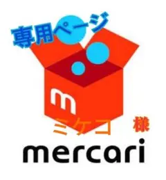 専用ページ