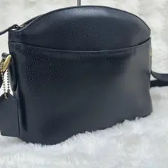良品♡オールドコーチ マディソンコレクション 2way ショルダーバッグ 革 黒 希少 最上位 オールドコーチ マディソン 2way ショルダーバッグ