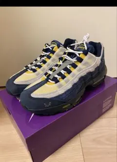 ナイキSBエアマックス95 x Eric Koston 26㎝