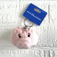 ディズニー　ハム　キーチェーン　ファンキャップ　トイストーリー