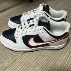 NIKE DUNK ナイキ ダンク 24cm