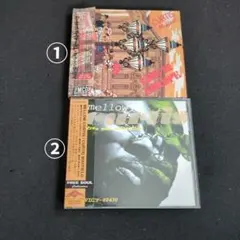 Item thumbnail for item 5700b34d-3b0a-49d6-9575-09f8ea8ee1f2