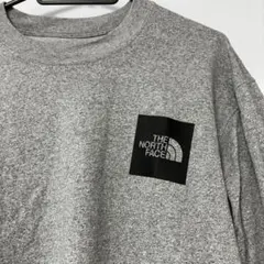 THE NORTH FACE 長袖カットソー グレーのサムネイル