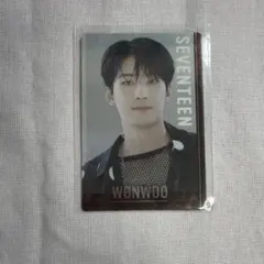 SEVENTEEN ウエハース ウォヌ トレカ