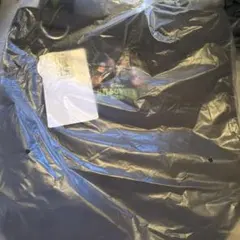 新品　2025 ハロウィン　トートバッグ　ディズニーリゾート