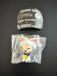 straykids skzooサウナ フォクシニー